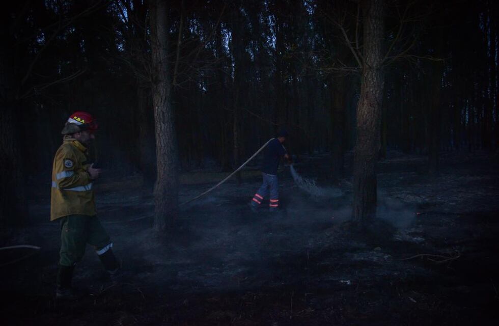 El Municipio intensifica las medidas para evitar incendios