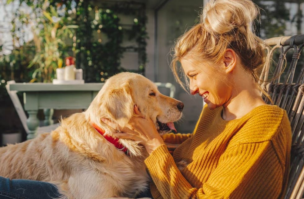 Tres Arroyos: Se viene un día exclusivo para nuestras mascotas