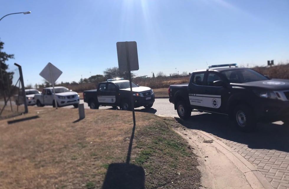 Rescate de fauna en Córdoba: llevaba dos pichones de ñandú en el asiento trasero del auto