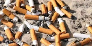 La Municipalidad colabora con la Campaña Nacional de recolección de Colillas junto a Limpiar Ushuaia