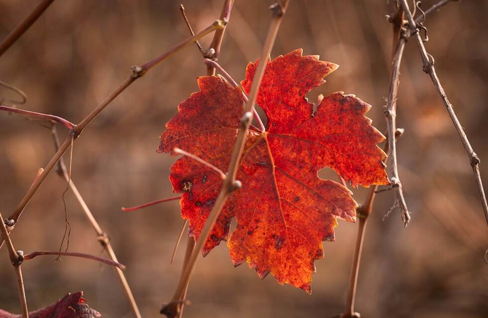 Clima en Tandil: así estará el tiempo en la ciudad este 24 de junio