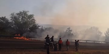 Más de 20 hectáreas de monte nativo arrasados por el fuego en Cerro Corá.