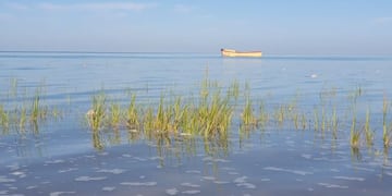 Humedal de Villa del Mar, fundamental para el ecosistema.