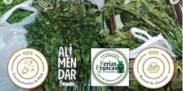 Conocé Red AlimenDAR: encargados de “rescate” de alimentos y de la promoción de consumo consciente y responsable.