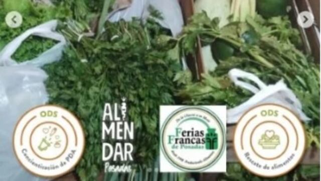 Conocé Red AlimenDAR: encargados de “rescate” de alimentos y de la promoción de consumo consciente y responsable.