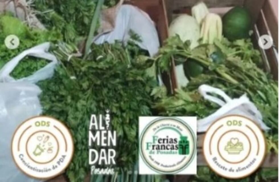 Conocé Red AlimenDAR: encargados de “rescate” de alimentos y de la promoción de consumo consciente y responsable