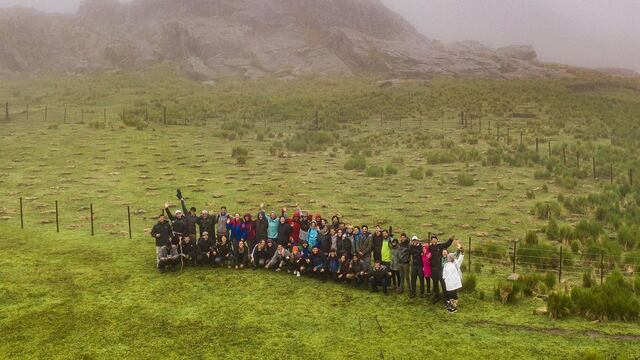 Un proyecto ecológico que apunta a reforestar las Sierras Grandes de Córdoba.