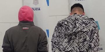 Dos aprehendidos por lesiones leves y daño