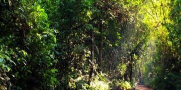 Puerto Iguazú: investigan el deceso de un joven Mbya.