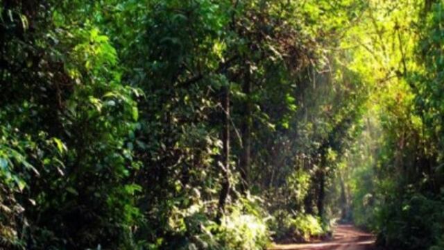 Puerto Iguazú: investigan el deceso de un joven Mbya.