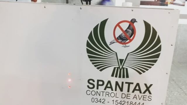 "Espantapájaros" instalado en el centro de la ciudad