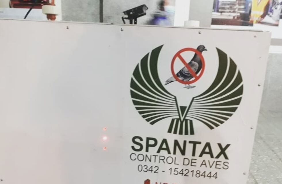 Proteccionistas piden sacar las redes del techo de la terminal y un “espantapájaros” del centro