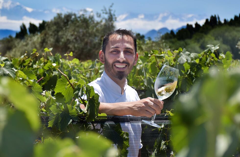 ¿Por qué se recomienda probar vinos en Mendoza?