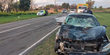 Accidente: 2 caballos fueron atropellados por un conductor sobre ruta 11.