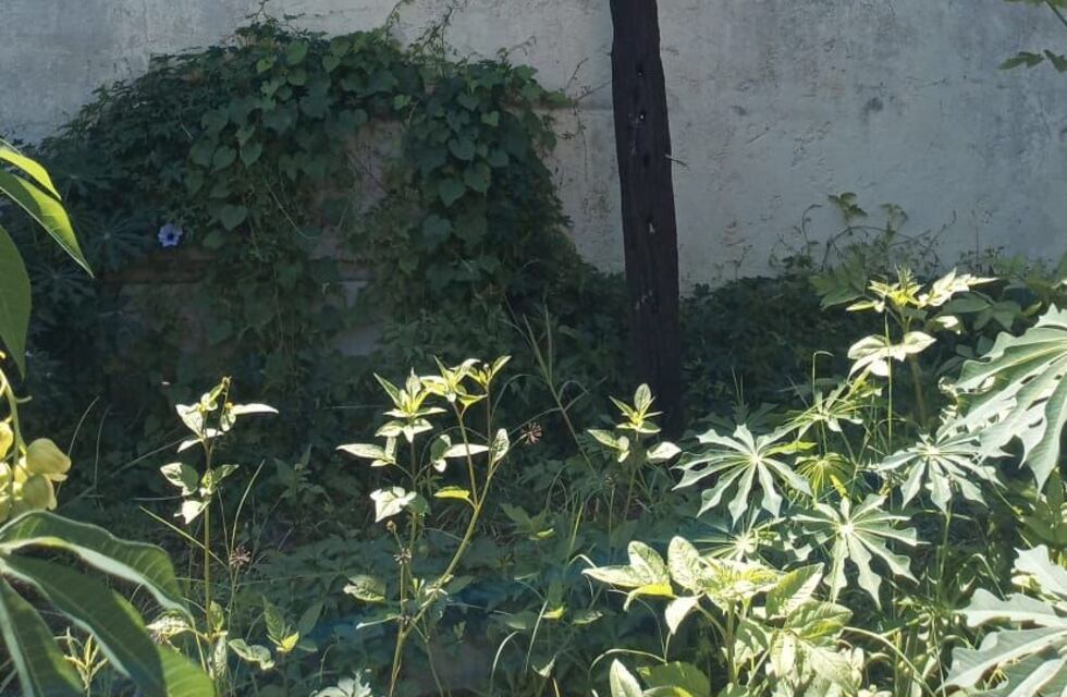 Sujeto detenido en barrio Fasoli