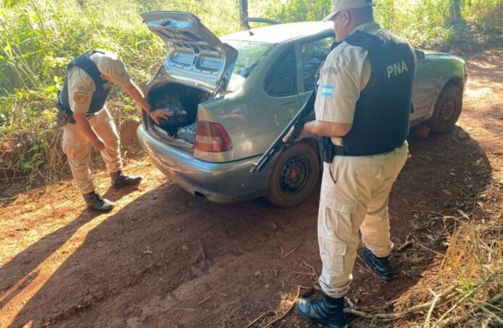 Prefectura Naval Argentina incautó 137 kilos de marihuana en Puerto Libertad