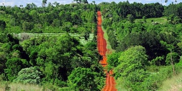 El presidente destacó el trabajo de cuidado de los bosques nativos de la provincia.