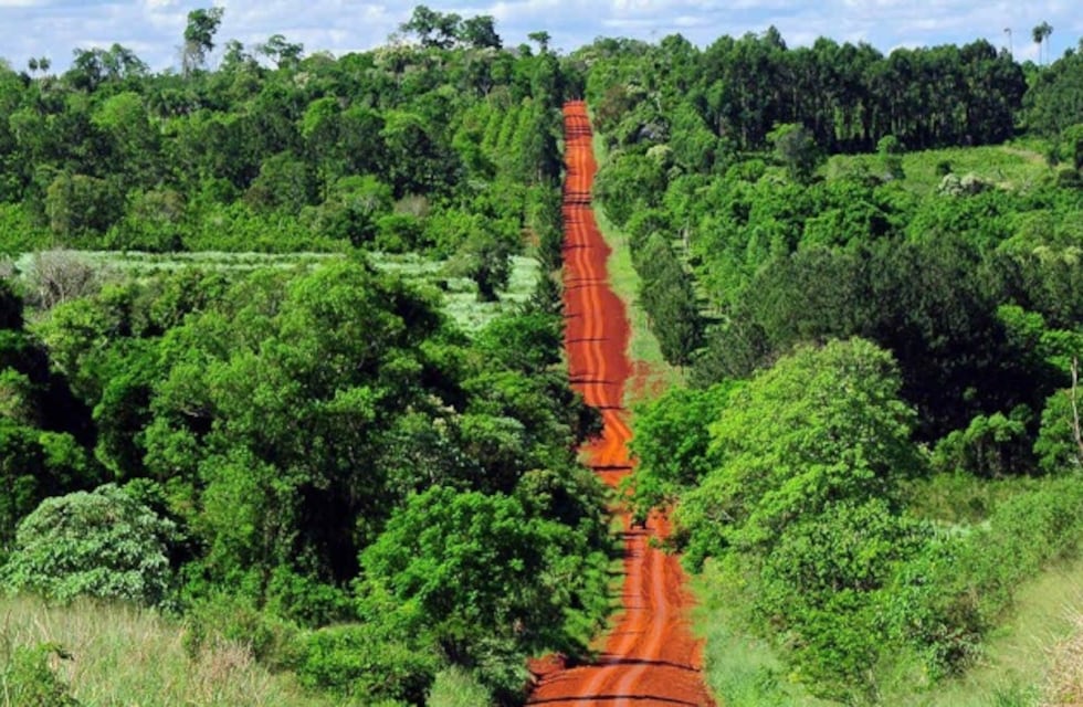 Alberto Fernández reconoció el aporte de Misiones al cuidado del medio ambiente