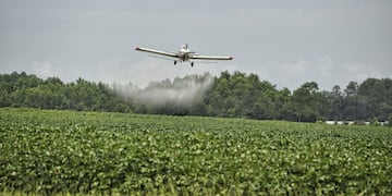 Fumigaciones con fitosanitarios no tóxicos