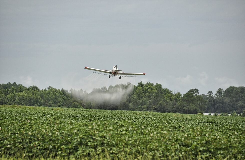 Fumigaciones con fitosanitarios no tóxicos