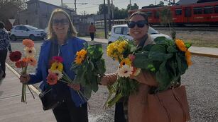 Comenzá la primavera con la Feria de Flores de Maipú