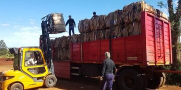 Oberá Sustentable: dos cargas de cartón fueron enviadas a disposición final