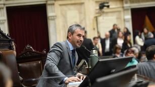 El presidente de la Cámara de Diputados, Martín Menem (Foto: HCDN)