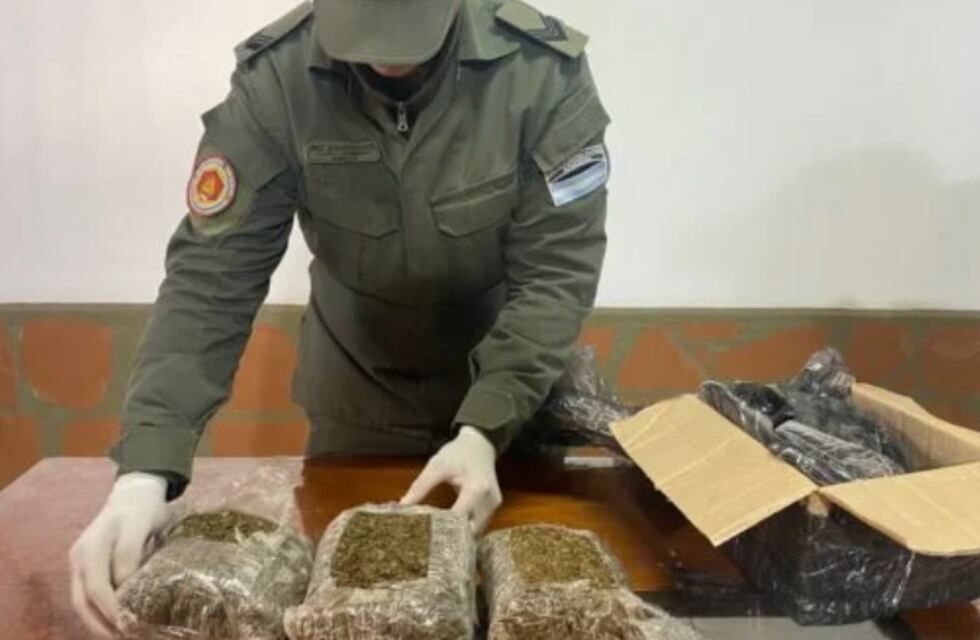 Incautan contrabando de marihuana en varios operativos en Posadas