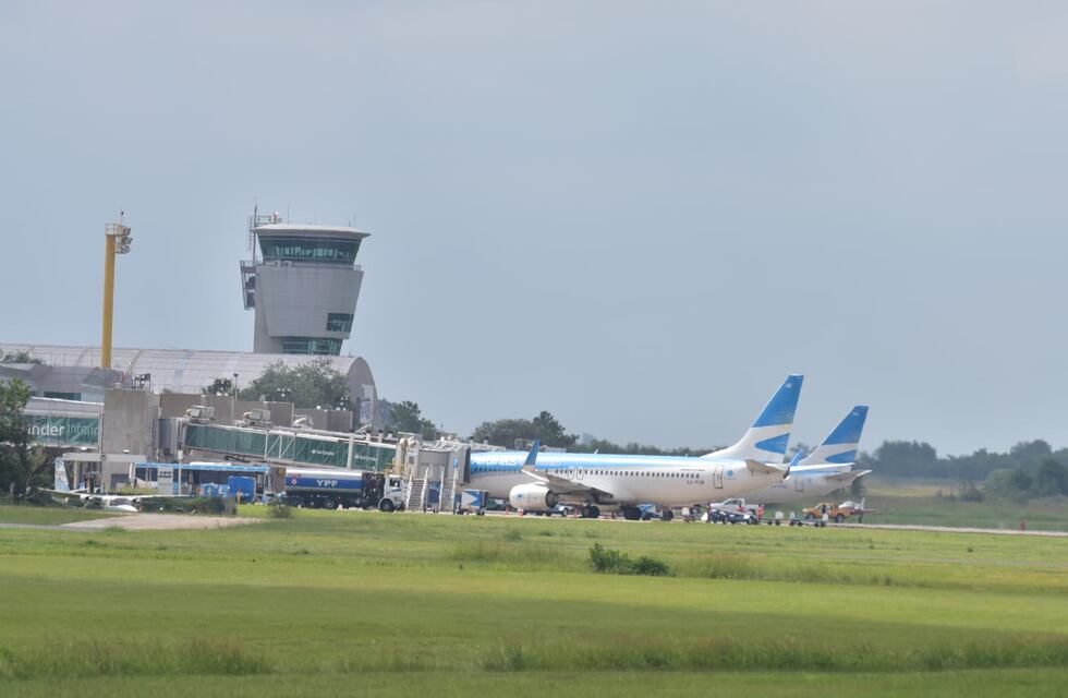 Esta vez, no es un ciervo: un inesperado animal sorprendió a los trabajadores del aeropuerto de Córdoba