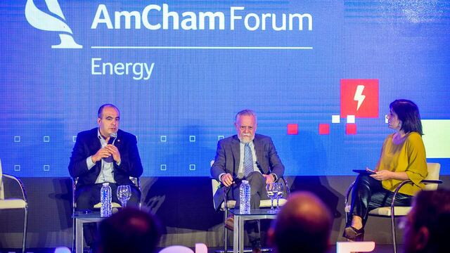 Exponen los avances del proyecto Fénix en  AmCham Energy Forum Argentina