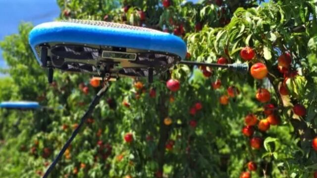 La recolección de peras y manzanas quedó en manos de drones autónomos en algunos países.