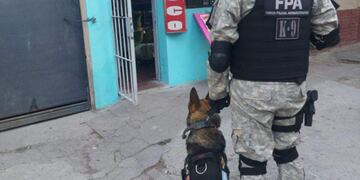 Byron descubrió las drogas escondidas.