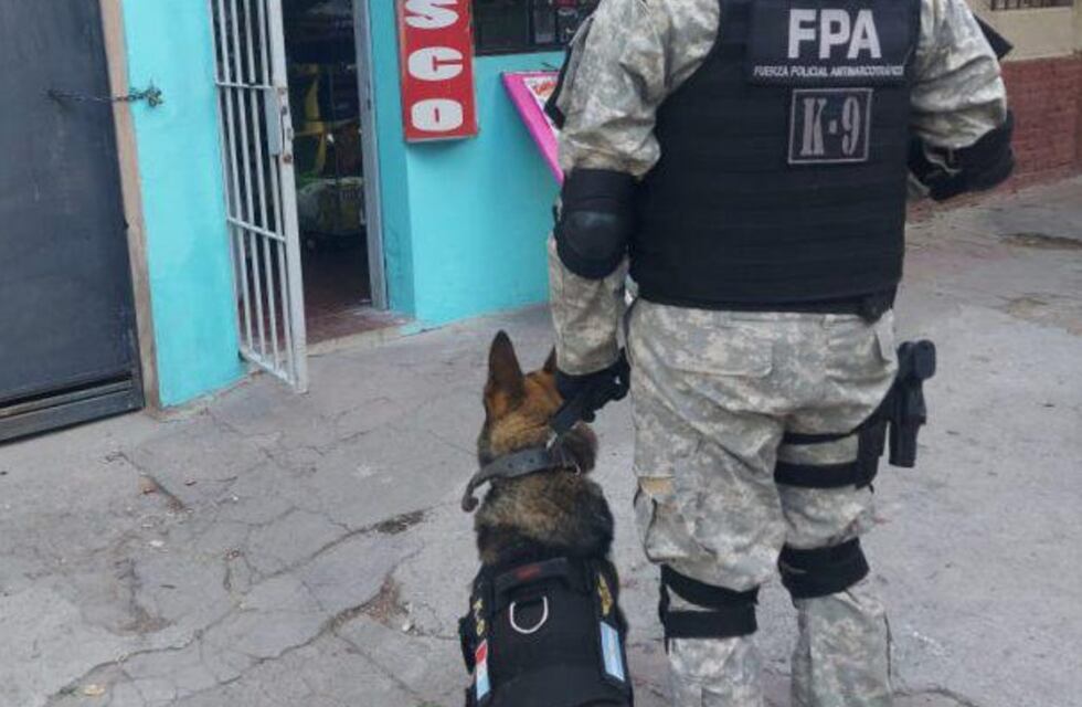 Drogas en Córdoba: Byron, el perro que descubrió el verdadero “negocio” familiar