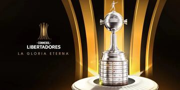 Predicción para la Copa Libertadores 2025