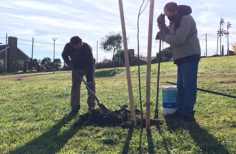 Avanza en Tandil la plantación de árboles en parques y paseos de la ciudad