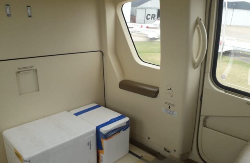 Misiones: utilizará suero equino como otra herramienta terapéutica para pacientes con Coronavirus