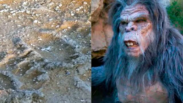 El Ucumar, la mítica criatura del norte argentino. Gentileza: TN.