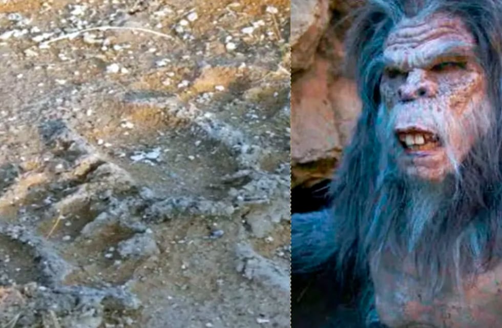 El Ucumar apareció en Salta: el escalofriante video de la criatura mitológica