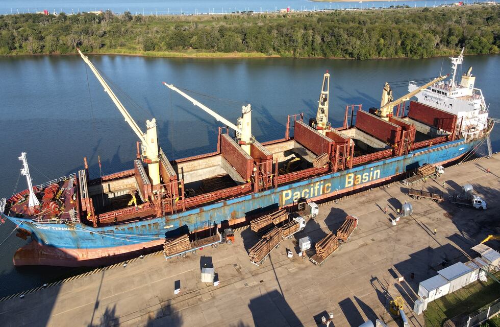 Zarpó el primer embarque récord desde Ibicuy a la India