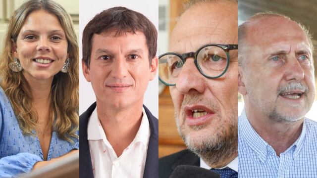Los diputados provinciales de Rafaela: GIsel Mahmud, Juan Argañaraz, Marcos Corach y Omar Perotti