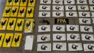 Un cargamento de drogas valuado en más de 1.300 millones de dólares en Córdoba.