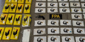 Un cargamento de drogas valuado en más de 1.300 millones de dólares en Córdoba.