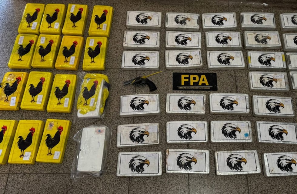 Descubrieron más de 1.300 millones de dólares en drogas tras un megaoperativo en Córdoba