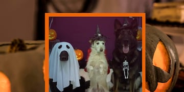 Sustos que dan gustos de la mano de Lolita, Fresa y Negra.