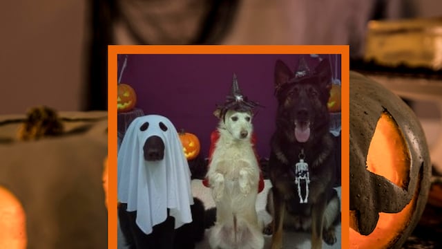 Sustos que dan gustos de la mano de Lolita, Fresa y Negra.