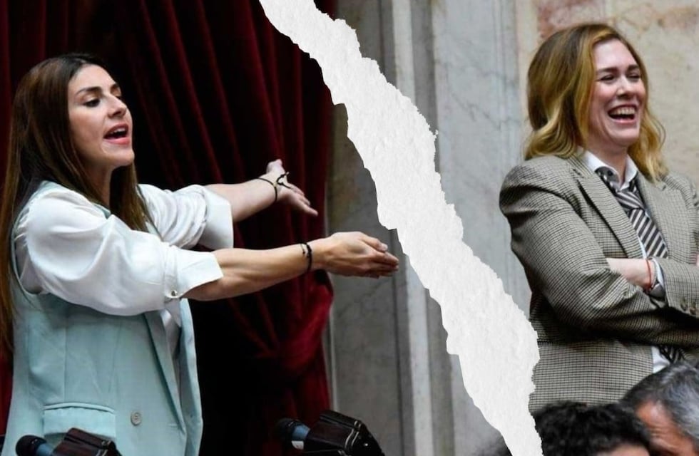 Gritos, insultos y manotazos en un nuevo enfrentamiento entre Marcela Pagano y Lilia Lemoine