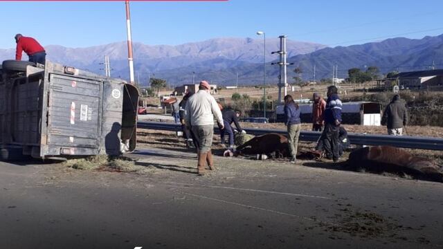 Volcó un tráiler con caballos en la Circunvalación Oeste.