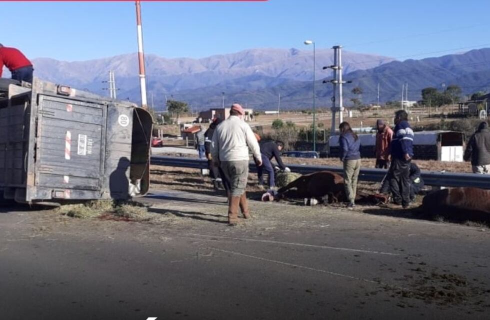 Murió un caballo tras volcar un tráiler en la Circunvalación Oeste