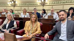 El bloque de la periodista rosarina llevó el tema a la Cámara baja.