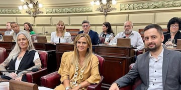 El bloque de la periodista rosarina llevó el tema a la Cámara baja.